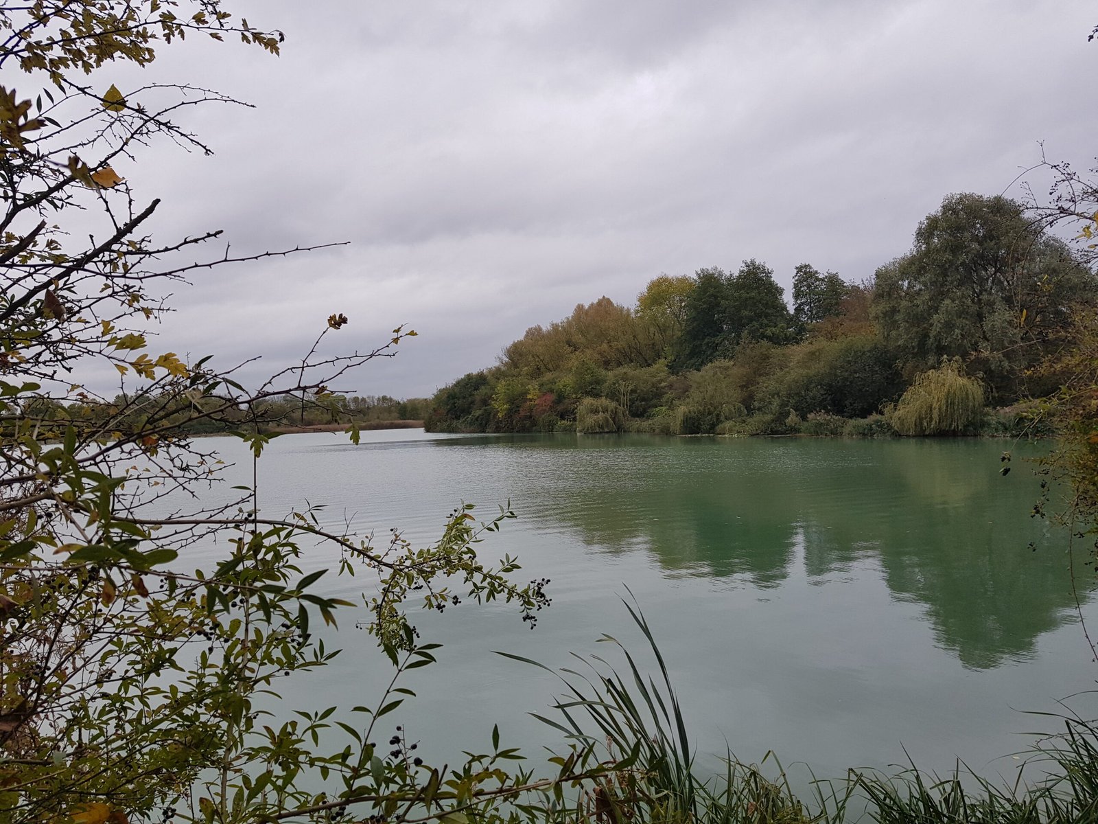 Coldhams Lane (Cambridge)