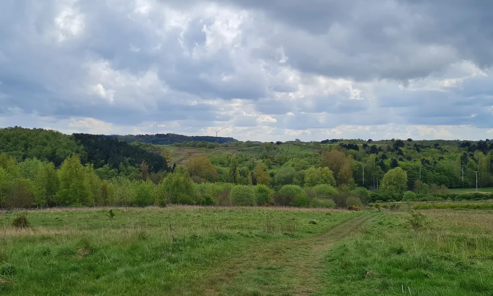 Elmsley Heath (Midlands)