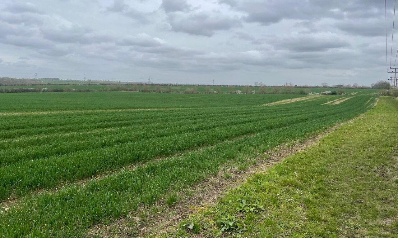 Letchworth (Hertfordshire)