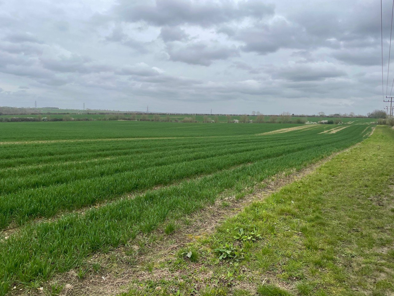 Letchworth (Hertfordshire)