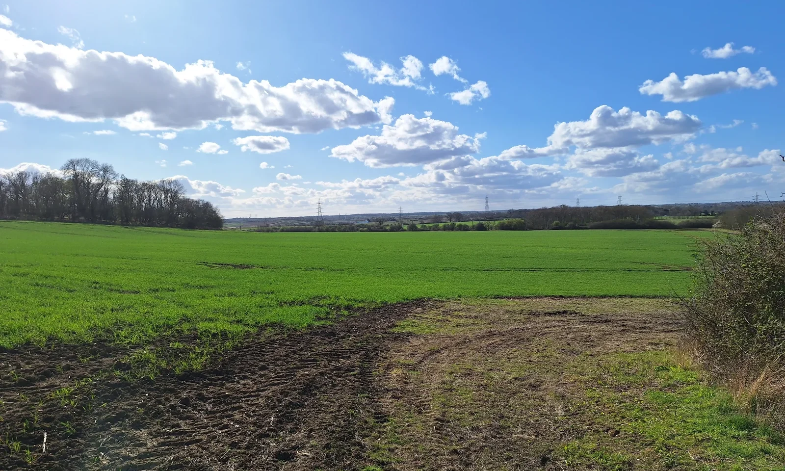 Little Barford (Bedfordshire)