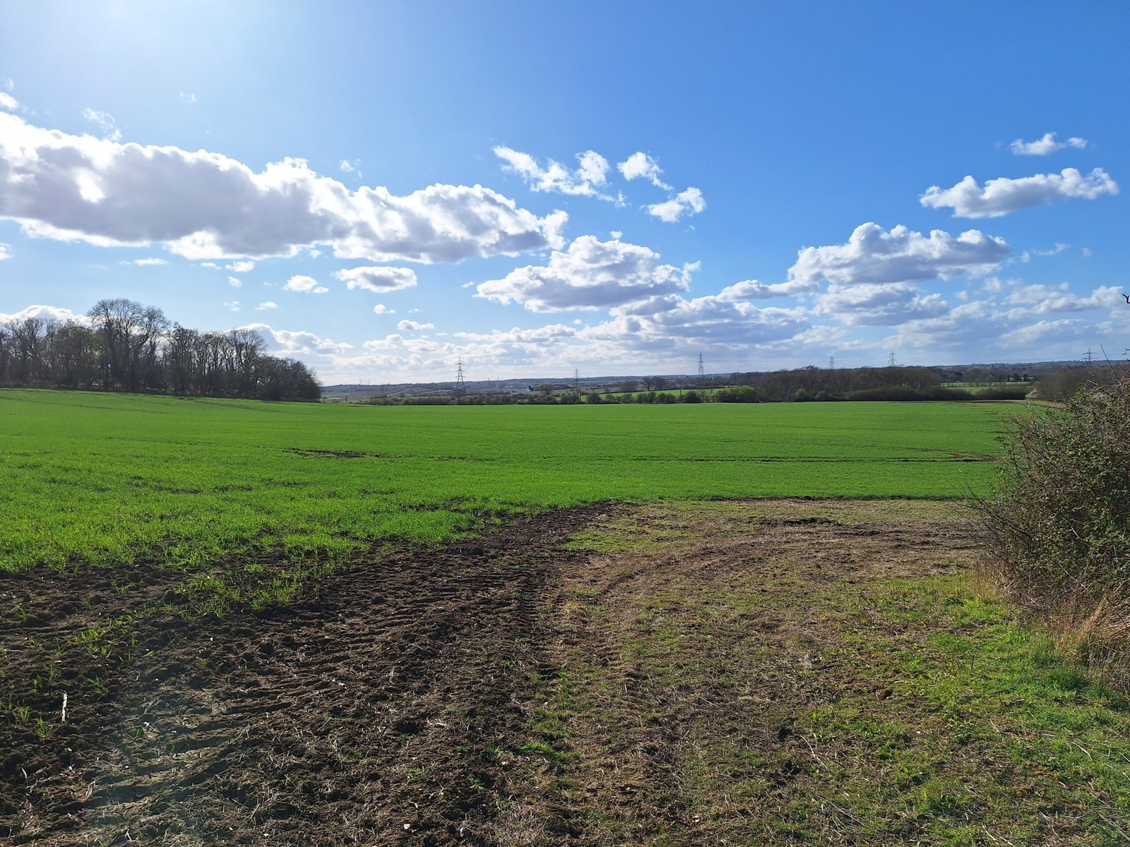 Little Barford (Bedfordshire)