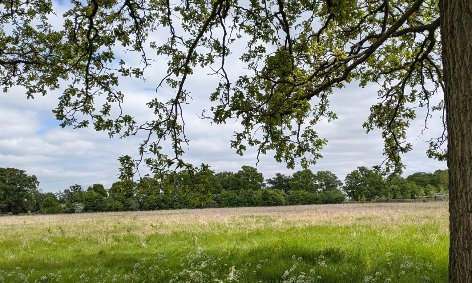East Hemel (Hertfordshire)