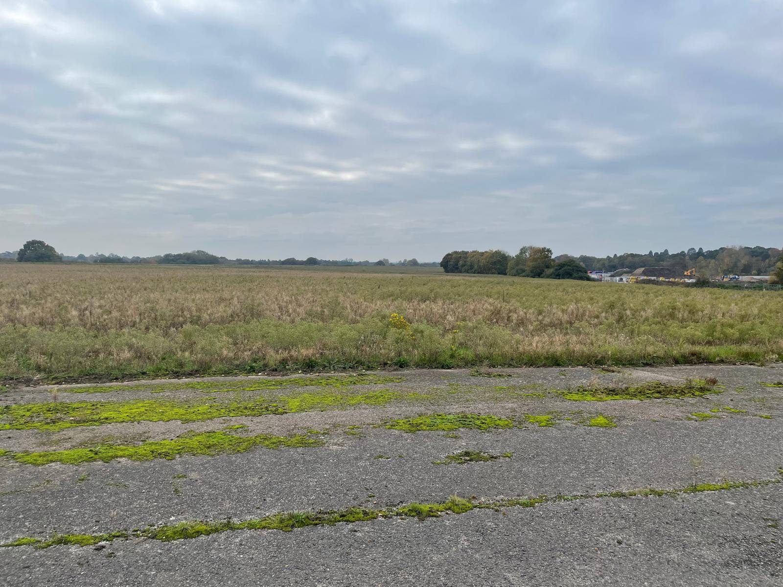 WhatsApp Image 2024-11-20 at 14.42.20_d5079992