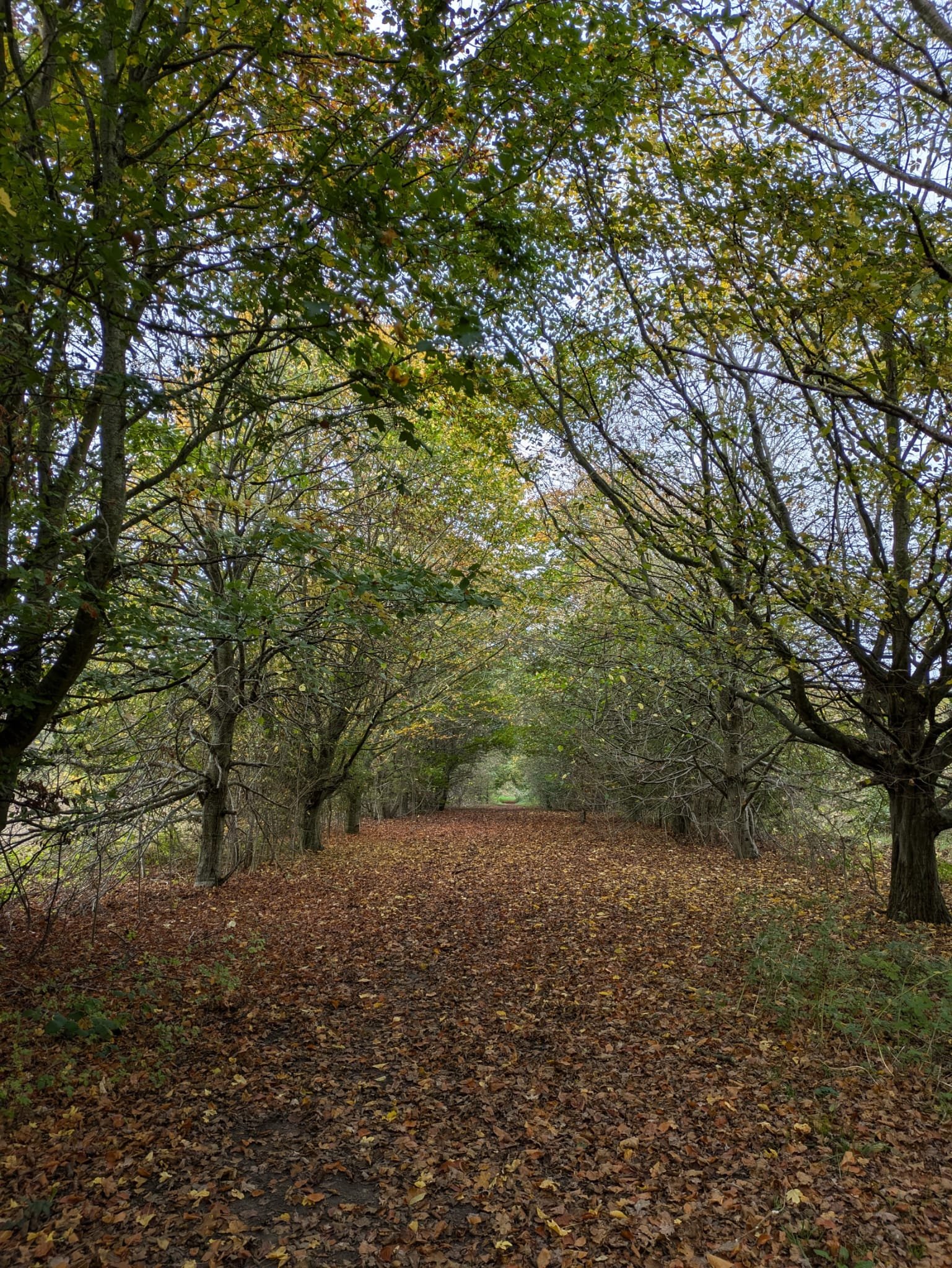 WhatsApp Image 2024-11-20 at 14.44.38_61b52cef