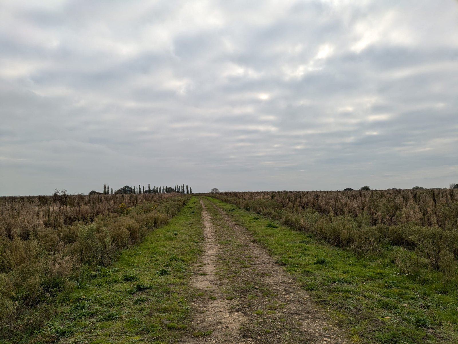 WhatsApp Image 2024-11-20 at 14.44.38_a90a7a8c