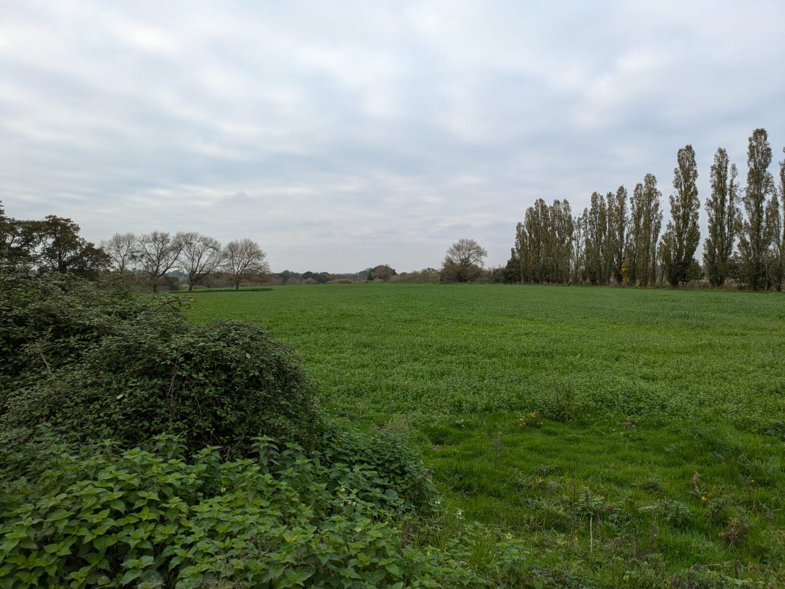 WhatsApp Image 2024-11-20 at 14.44.40_a87c0a9b