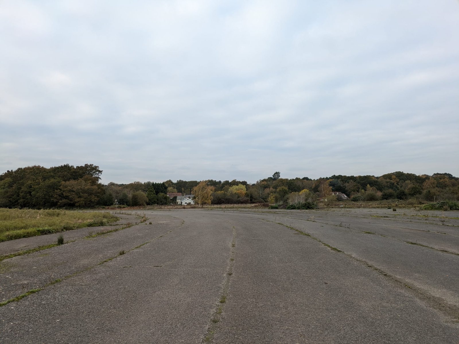 WhatsApp Image 2024-11-20 at 14.44.40_c310f0d1